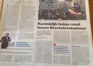 161203-web_koningshek_artikel_algemeen_dagblad_amersfoort_staatsbosbeheer_margot_berkman_sierhek_koningshek_